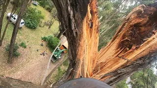 Tornado, Powerlines and Snapped Trees