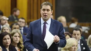 Question Period: Conservatives call for apology to Mark Norman — May 15, 2019