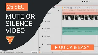 Hitfilm Express Tutorial: How to Mute or Silence Video in HitFilm Express
