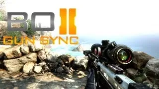 Black Ops 2 - Gun Sync
