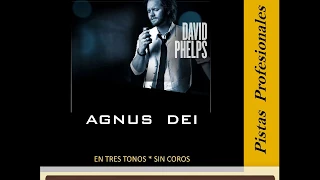 Agnus Dei - David Phelps