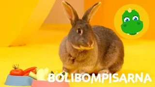 Bolibompa Mini: Bolibompisarna – Avsnitt 9
