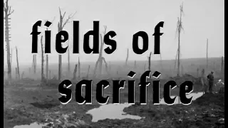 Fields of Sacrifice