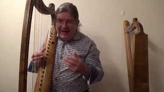 Instrument Exhibit: Andrew Lawrence-King, Renaissance Harp