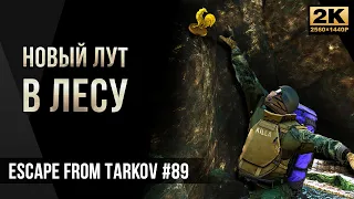 Новый лут в Лесу • Escape from Tarkov №89 [2K]