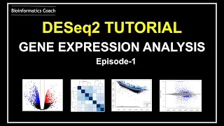 How I analyze RNA Seq Gene Expression data using DESeq2