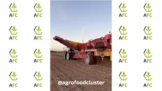 Harvesting potatoes at the Agrofoodcluster 🥔🥔 | Grimme SE 150-60 | Emmeloord | #shorts