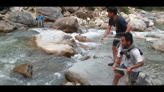 HIMALAYAN TROUT FISHING WITH CAST-NET IN SMALL RIVER OF NEPAL | TRADITIONAL FISHING | ASALA |