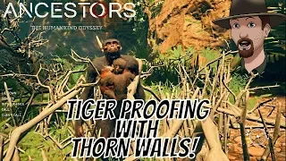 Tiger Proof Camp With Thorn Barriers!- Ancestors- The Humankind Odyssey