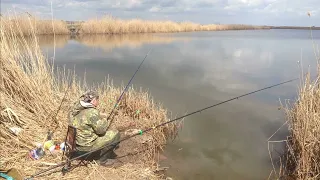 🐟 КОГДА КЛЮЕТ РЫБА? ПОГОДА, ДАВЛЕНИЕ, ВЕТЕР...