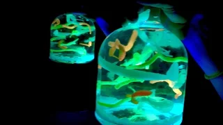 Glow in the Dark Ocean in a Bottle  -  [DIY]