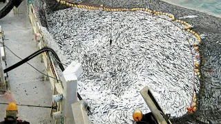 Increíble captura y procesamiento de miles de toneladas de pescado con un gran barco moderno