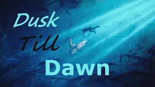 » with you from Dusk Till Dawn || Final Fantasy XV 「GMV」