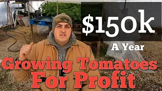 Making $150k Growing Tomatoes in 2021