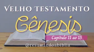 Livro de Gênesis - Capítulo 11 ao 15 - Velho Testamento - Bíblia Sagrada