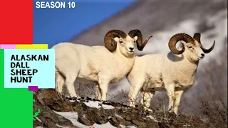 Alaskan Dall Sheep Hunt || Part 2 Season 10 || GoHunt || Long Range Shooting