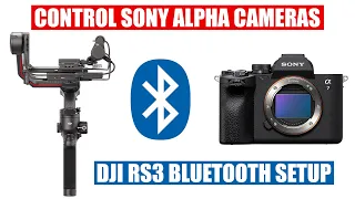Control Sony Alpha Camera Recording with DJI RS3 Pro via Bluetooth [ Tutorial ] a7 IV, a7S III, A1