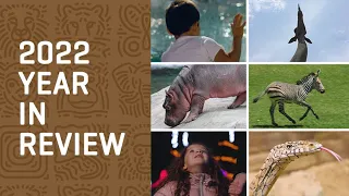 Your Dallas Zoo's 2022 Year in Review