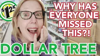 SEE WHAT EVERYONE IS MISSING AT DOLLAR TREE | DOLLAR TREE HAUL | DOLLAR TREE NEW PRODUCT TESTERS