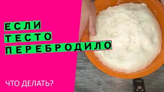 Если тесто перебродило😨 и ОПАЛО!  😱 Что делать? {Наглядный эксперимент}