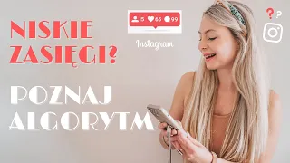 Jak działa algorytm na Instagramie i co musisz o nim wiedzieć w 2023/2024?