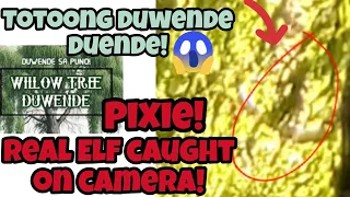proof elves are real!  no. 11 real elf picture Duende Duwende hulicam! gnome pixie fairy sighting!