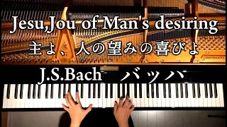 esu,Jou of Man's desiring/J.S.Bach/classic Pinao/CANACANA