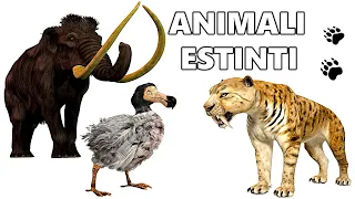 🦓🐘 ANIMALI ESTINTI e a RISCHIO di ESTINZIONE - L'estinzione delle specie animali ⚠🌎