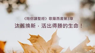 歌羅西書3章/陪你讀聖經《汰舊換新，活出得勝的生命！》