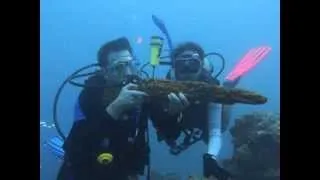 Helmet Wreck, Palau, Aug 2013