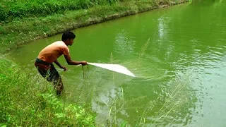 Amazing net fishing | Live Fish Hunting In village | Fishing by cast net