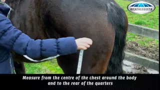 Rugging Your Horse: How to Measure for a Rug
