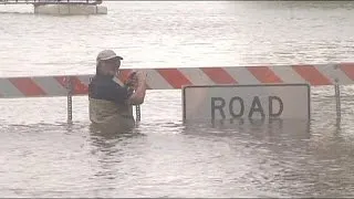 Texas cows rescued from floods