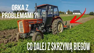 🔥Orka poplonu  pod pszenicę ozimą ☆3-pek w akcji ☆ ZABLOKOWANA  skrzynia biegów 😱 ☆ czuć opór 😅🔥