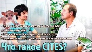 Что такое CITES?