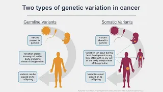 A Closer Look at…Cancer Prevention