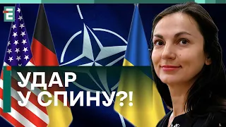 😮США і Німеччина ПРОТИ України в НАТО?! ЩО сталося?