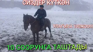 Сиздер күткөн Улагына🐴😱⚡ үйүрүнө жооп#кыргызстан #жалалабадмалбазары #базаркоргонмалбазары