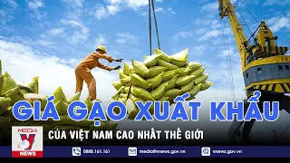 Giá gạo xuất khẩu Việt Nam cao nhất thế giới - VNEWS