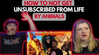 How to Not Get Unsubscribed from Life by Animals @mndiaye_97 | HatGuy & @gnarlynikki React