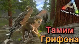 Ark survival evolved mobile | Тамим грифона | Как приручить грифона ? В ark mobile на карте island