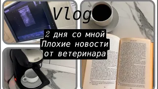 Влог: 2 дня из моей жизни🌸 плохие новости от ветеринара🐾 закупка продуктов ☕️ дочитываю книги 📚