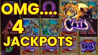 OMG! CATS IS ON FIRE!! Huge Profit 4 Jackpots! I love Cats!