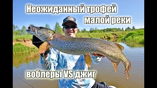 Крупная щука на малой реке