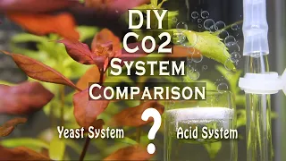 DIY Aquarium Co2 System Comparison / Yeast? VS Acid?