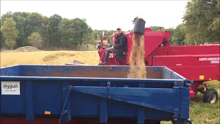 Sädestömning På sampo 360 skördetröska  / unloading seed from an old combine harvester