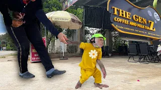 Monkey Taka took Mom's hand and went to drink coffee