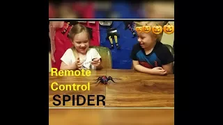 Kids Surprise Unboxing of Halloween Remote Control Spider Kendra and Jensen