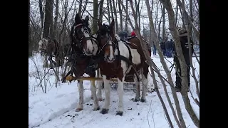 Польша и украинцы/Что такое КУЛИГ и морсы в Польше? /Праздники в Польше в 2019