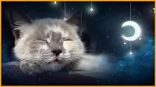 Расслабляющая колыбельная для кошек и котят 🐱💤 (с щебетанием кошек) - МУЗЫКА ДЛЯ КОШЕК - 1 ЧАС